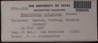 Image Associated With the Occurence